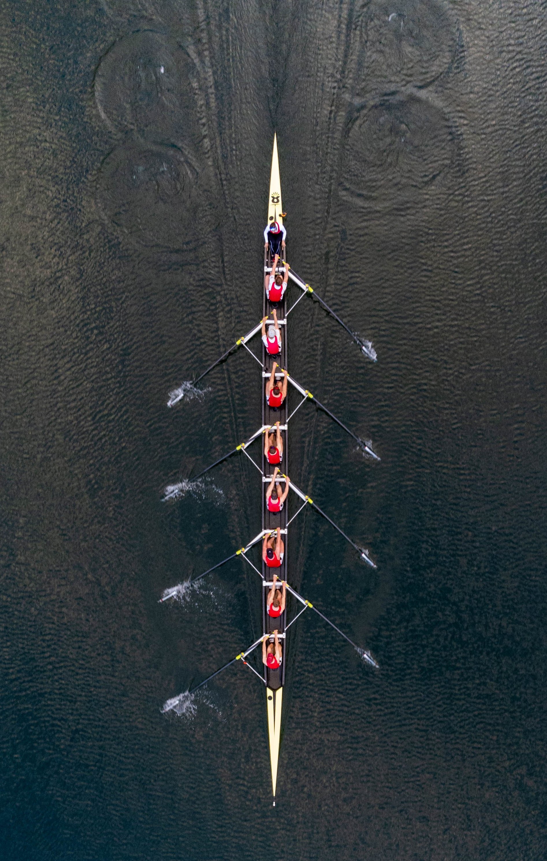 Rowers photographed in birdseye view