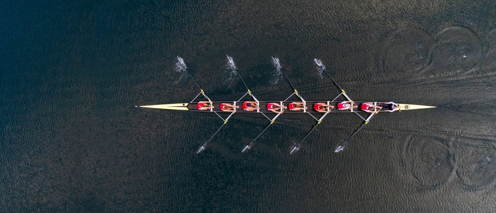 Rowers photographed in birdseye view